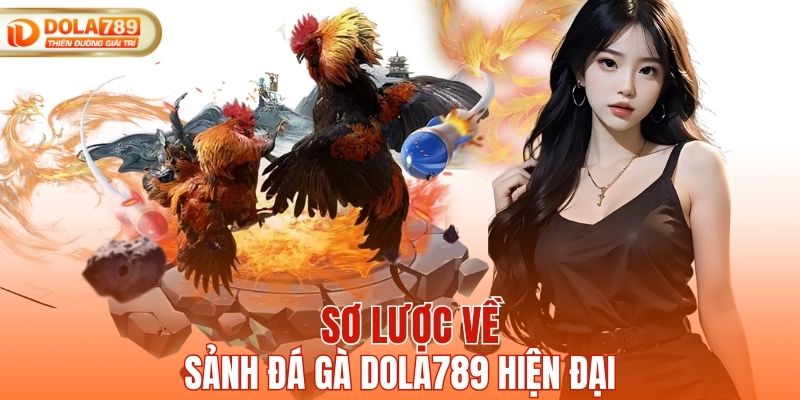 Sơ lược về sảnh đá gà DOLA789 hiện đại
