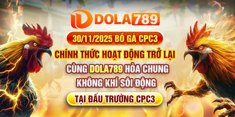 Bồ gà CPC3 hoạt động trở lại